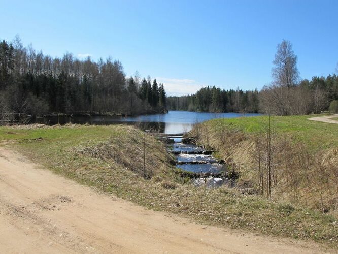 Maakond: Pärnumaa Veekogu nimi: Ura jõgi Pildistamise aeg: 28. aprill 2010 Pildistaja: H. Timm Pildistamise koht: Rae paisjärv Asimuut: