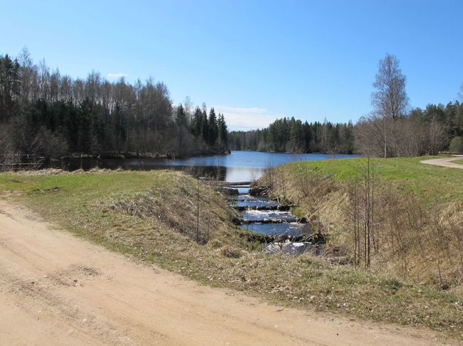 Maakond: Pärnumaa Veekogu nimi: Ura jõgi Pildistamise aeg: 28. aprill 2010 Pildistaja: H. Timm Pildistamise koht: Rae paisjärv Asimuut: