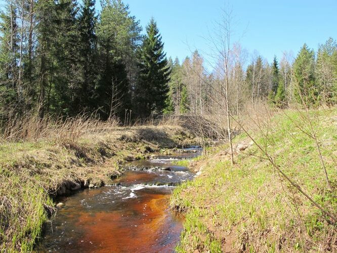 Maakond: Pärnumaa Veekogu nimi: Ura jõgi Pildistamise aeg: 28. aprill 2010 Pildistaja: H. Timm Pildistamise koht: Rae paisjärv Asimuut: