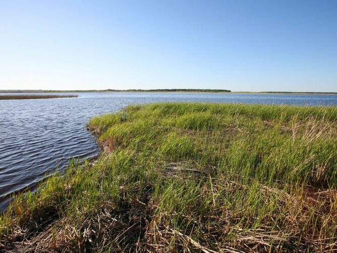 Maakond: Saaremaa Veekogu nimi: Vägara laht Pildistamise aeg: 25. mai 2009 Pildistaja: H. Timm Pildistamise koht: teadmata Asimuut: