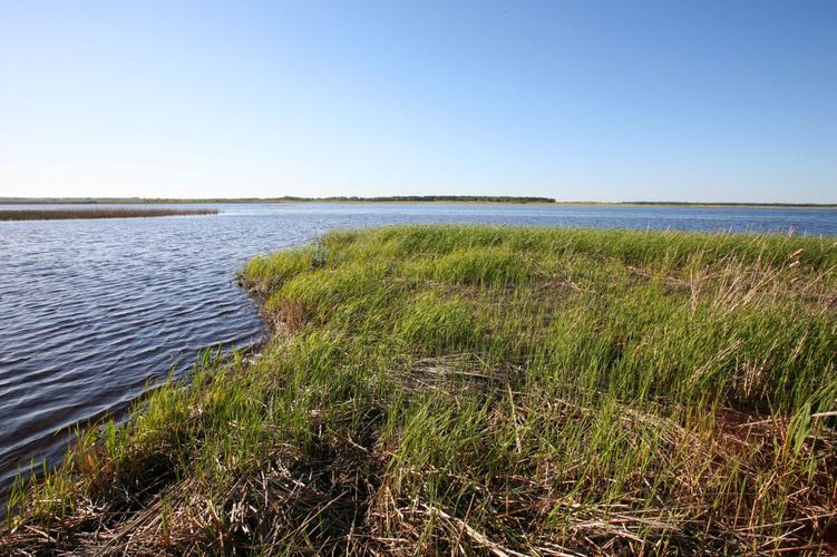 Maakond: Saaremaa Veekogu nimi: Vägara laht Pildistamise aeg: 25. mai 2009 Pildistaja: H. Timm Pildistamise koht: teadmata Asimuut: