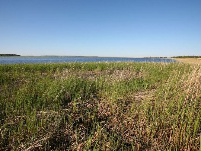 Maakond: Saaremaa Veekogu nimi: Vägara laht Pildistamise aeg: 25. mai 2009 Pildistaja: H. Timm Pildistamise koht: teadmata Asimuut: