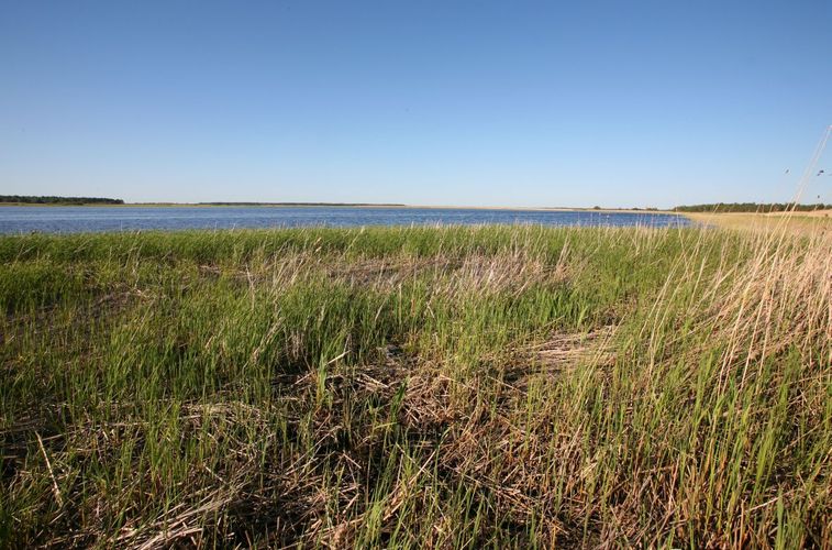 Maakond: Saaremaa Veekogu nimi: Vägara laht Pildistamise aeg: 25. mai 2009 Pildistaja: H. Timm Pildistamise koht: teadmata Asimuut: