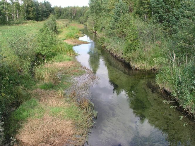 Maakond: Lääne-Virumaa Veekogu nimi: Vahujõgi Pildistamise aeg: august 2003 Pildistaja: H. Timm Pildistamise koht: teadmata Asimuut: