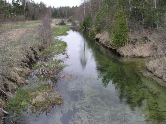 Maakond: Järvamaa Veekogu nimi: Vahujõgi Pildistamise aeg: 7. mai 2007 Pildistaja: H. Timm Pildistamise koht: sillalt Asimuut: