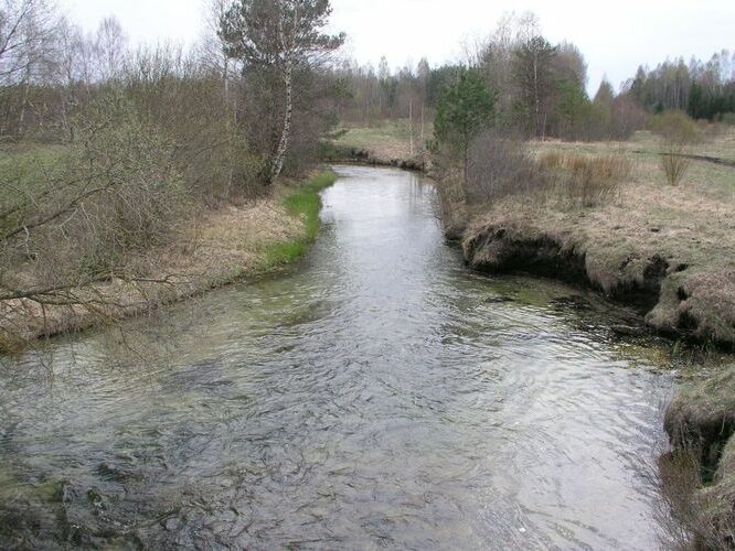 Maakond: Järvamaa Veekogu nimi: Vahujõgi Pildistamise aeg: 7. mai 2007 Pildistaja: H. Timm Pildistamise koht: sillalt Asimuut: