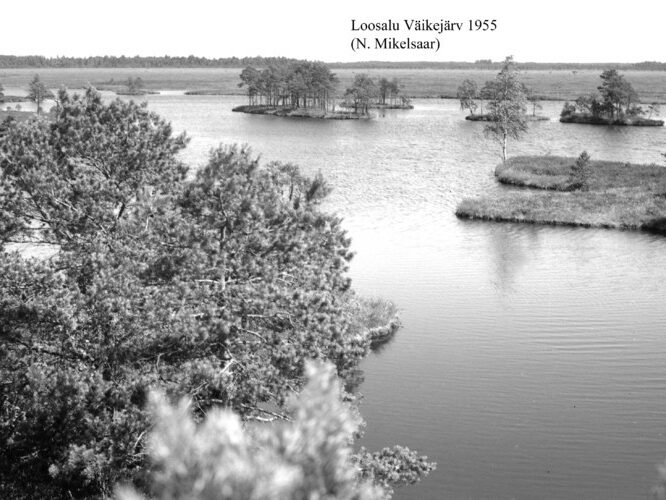 Maakond: Raplamaa Veekogu nimi: Väike-Loosalu järv Pildistamise aeg: 1955 Pildistaja: N. Mikelsaar Pildistamise koht: teadmata Asimuut: