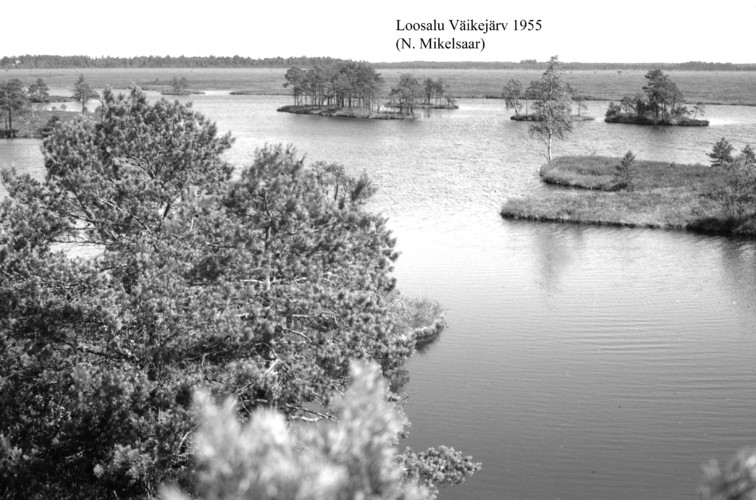 Maakond: Raplamaa Veekogu nimi: Väike-Loosalu järv Pildistamise aeg: 1955 Pildistaja: N. Mikelsaar Pildistamise koht: teadmata Asimuut: