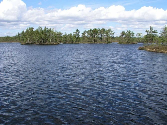 Maakond: Raplamaa Veekogu nimi: Väike Loosalu järv Pildistamise aeg: 19. mai 2004 Pildistaja: H. Timm Pildistamise koht: teadmata Asimuut: