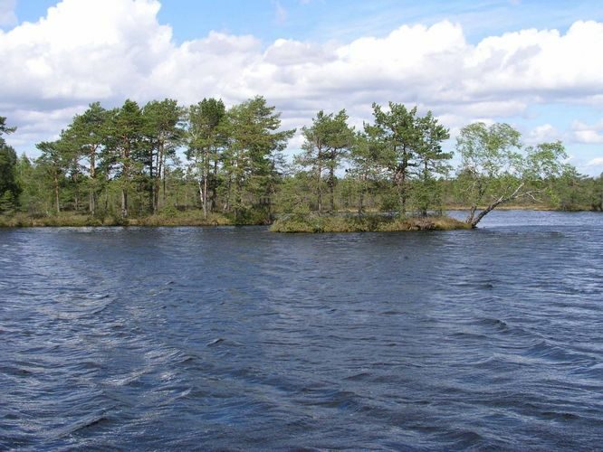 Maakond: Raplamaa Veekogu nimi: Väike Loosalu järv Pildistamise aeg: 19. mai 2004 Pildistaja: H. Timm Pildistamise koht: teadmata Asimuut: