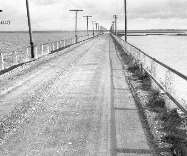 Maakond: Saaremaa Veekogu nimi: Väike Väin Pildistamise aeg: august 1954 Pildistaja: N. Mikelsaar Pildistamise koht: teadmata Asimuut: