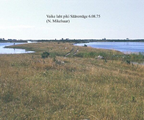 Maakond: Saaremaa Veekogu nimi: Vaike laht Pildistamise aeg: 6. august 1975 Pildistaja: N. Mikelsaar Pildistamise koht: piki S Asimuut: