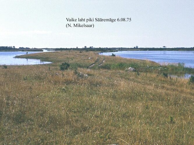 Maakond: Saaremaa Veekogu nimi: Vaike laht Pildistamise aeg: 6. august 1975 Pildistaja: N. Mikelsaar Pildistamise koht: piki S Asimuut: