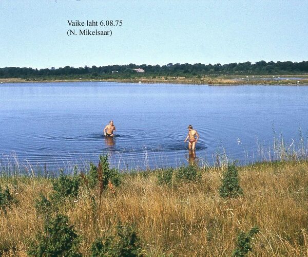 Maakond: Saaremaa Veekogu nimi: Vaike laht Pildistamise aeg: 6. august 1975 Pildistaja: N. Mikelsaar Pildistamise koht: teadmata Asimuut: