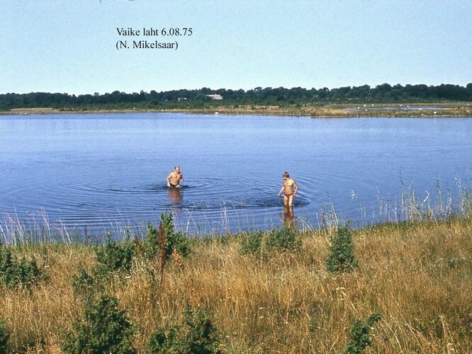 Maakond: Saaremaa Veekogu nimi: Vaike laht Pildistamise aeg: 6. august 1975 Pildistaja: N. Mikelsaar Pildistamise koht: teadmata Asimuut: