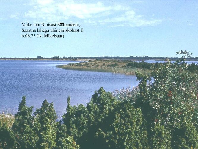 Maakond: Saaremaa Veekogu nimi: Vaike laht Pildistamise aeg: 6. august 1975 Pildistaja: N. Mikelsaar Pildistamise koht: S otsast S Asimuut: