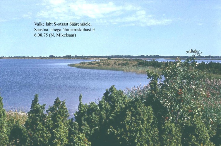 Maakond: Saaremaa Veekogu nimi: Vaike laht Pildistamise aeg: 6. august 1975 Pildistaja: N. Mikelsaar Pildistamise koht: S otsast S Asimuut: