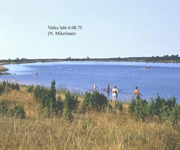 Maakond: Saaremaa Veekogu nimi: Vaike laht Pildistamise aeg: 6. august 1975 Pildistaja: N. Mikelsaar Pildistamise koht: teadmata Asimuut: