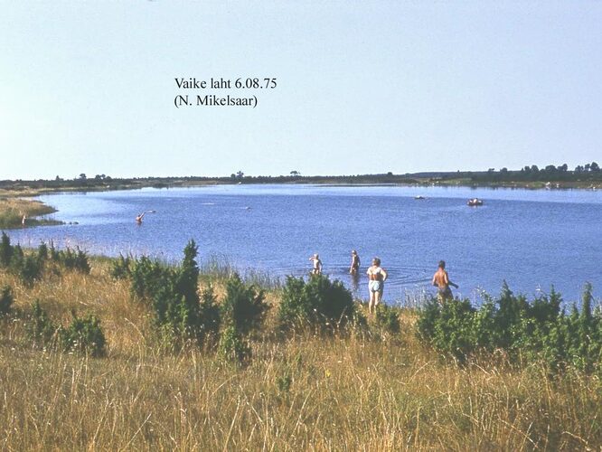 Maakond: Saaremaa Veekogu nimi: Vaike laht Pildistamise aeg: 6. august 1975 Pildistaja: N. Mikelsaar Pildistamise koht: teadmata Asimuut: