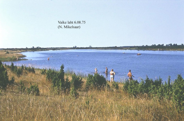 Maakond: Saaremaa Veekogu nimi: Vaike laht Pildistamise aeg: 6. august 1975 Pildistaja: N. Mikelsaar Pildistamise koht: teadmata Asimuut: