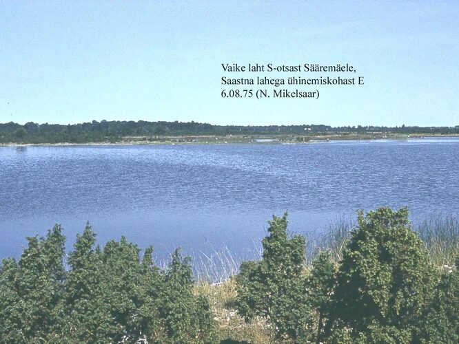 Maakond: Saaremaa Veekogu nimi: Vaike laht Pildistamise aeg: 6. august 1975 Pildistaja: N. Mikelsaar Pildistamise koht: S otsast S Asimuut: