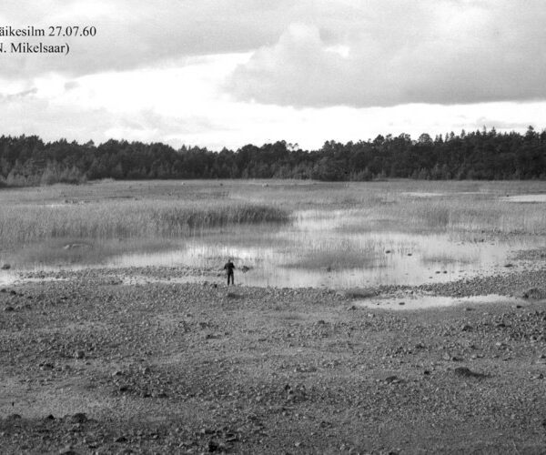 Maakond: Saaremaa Veekogu nimi: Väikesilm Pildistamise aeg: 27. juuli 1960 Pildistaja: N. Mikelsaar Pildistamise koht: teadmata Asimuut:
