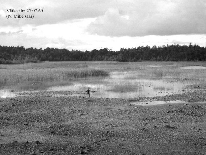 Maakond: Saaremaa Veekogu nimi: Väikesilm Pildistamise aeg: 27. juuli 1960 Pildistaja: N. Mikelsaar Pildistamise koht: teadmata Asimuut: