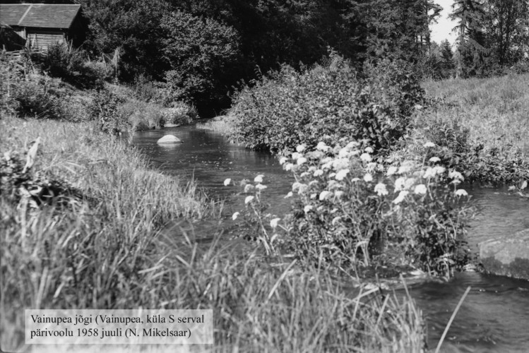 Maakond: Lääne-Virumaa Veekogu nimi: Vainupea jõgi Pildistamise aeg: juuli 1958 Pildistaja: N. Mikelsaar Pildistamise koht: Vainupea k Asimuut: