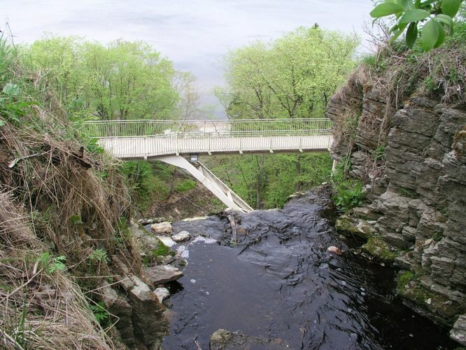 Maakond: Ida-Virumaa Veekogu nimi: Valaste oja Pildistamise aeg: 23. mai 2006 Pildistaja: H. Timm Pildistamise koht: teadmata Asimuut: