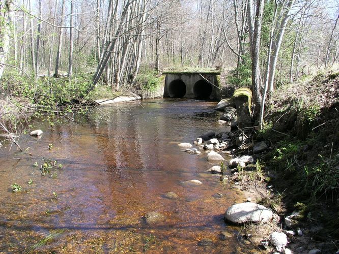 Maakond: Pärnumaa Veekogu nimi: Valdimurru oja Pildistamise aeg: 26. aprill 2008 Pildistaja: H. Timm Pildistamise koht: teadmata Asimuut: