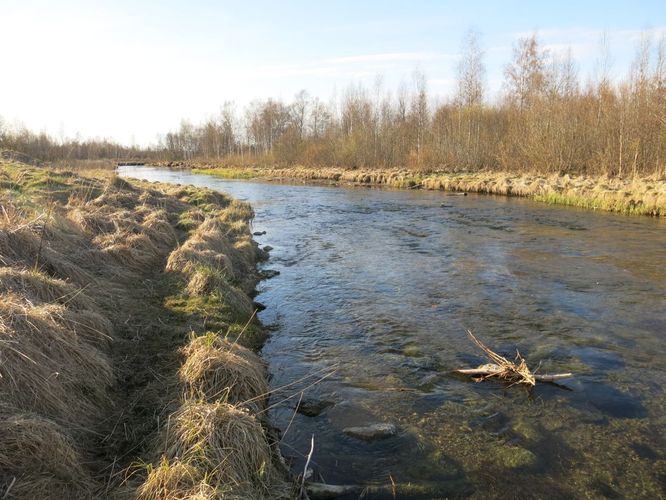 Maakond: Lääne-Virumaa Veekogu nimi: Valgejõgi Pildistamise aeg: 26. aprill 2014 Pildistaja: H. Timm Pildistamise koht: Tapa Asimuut: