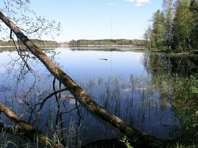 Maakond: Põlvamaa Veekogu nimi: Valgjärv Pildistamise aeg: 17. mai 2007 Pildistaja: H. Timm Pildistamise koht: teadmata Asimuut: