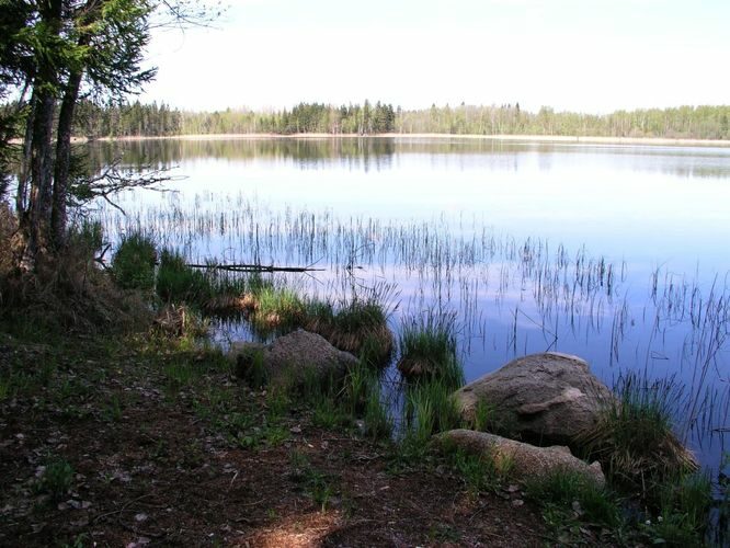 Maakond: Põlvamaa Veekogu nimi: Valgjärv Pildistamise aeg: 17. mai 2007 Pildistaja: H. Timm Pildistamise koht: teadmata Asimuut: