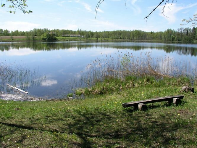 Maakond: Põlvamaa Veekogu nimi: Valgjärv Pildistamise aeg: 17. mai 2007 Pildistaja: H. Timm Pildistamise koht: teadmata Asimuut: