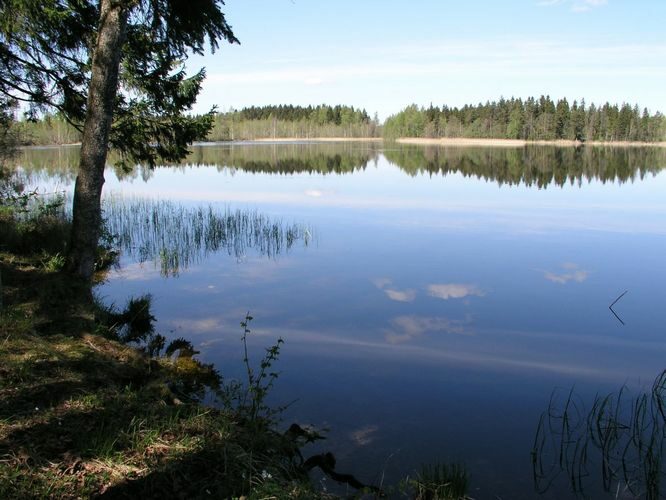 Maakond: Põlvamaa Veekogu nimi: Valgjärv Pildistamise aeg: 17. mai 2007 Pildistaja: H. Timm Pildistamise koht: teadmata Asimuut: