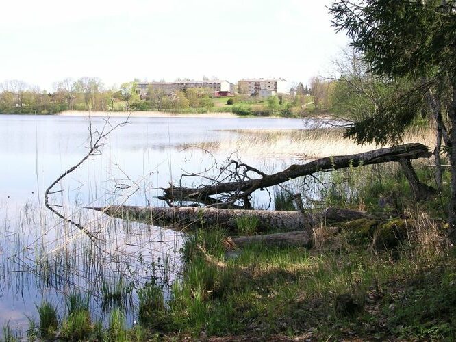 Maakond: Põlvamaa Veekogu nimi: Valgjärv Pildistamise aeg: 17. mai 2007 Pildistaja: H. Timm Pildistamise koht: teadmata Asimuut: