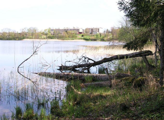 Maakond: Põlvamaa Veekogu nimi: Valgjärv Pildistamise aeg: 17. mai 2007 Pildistaja: H. Timm Pildistamise koht: teadmata Asimuut: