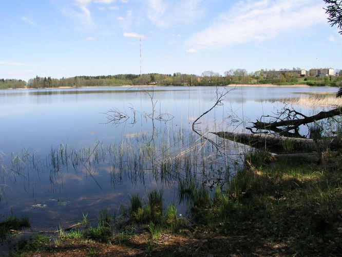 Maakond: Põlvamaa Veekogu nimi: Valgjärv Pildistamise aeg: 17. mai 2007 Pildistaja: H. Timm Pildistamise koht: teadmata Asimuut: