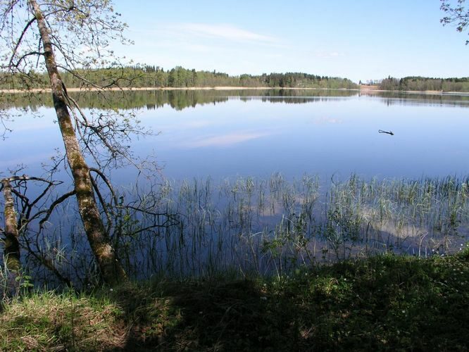 Maakond: Põlvamaa Veekogu nimi: Valgjärv Pildistamise aeg: 17. mai 2007 Pildistaja: H. Timm Pildistamise koht: teadmata Asimuut: