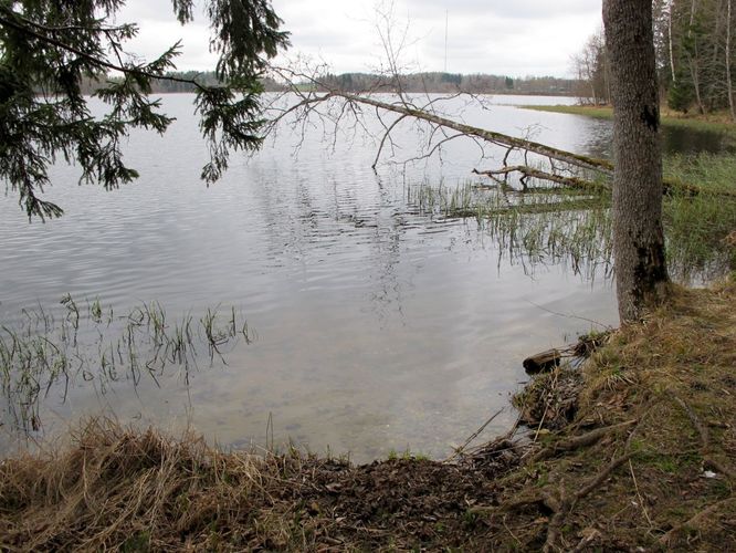 Maakond: Põlvamaa Veekogu nimi: Valgjärv Pildistamise aeg: 4. mai 2011 Pildistaja: H. Timm Pildistamise koht: teadmata Asimuut: