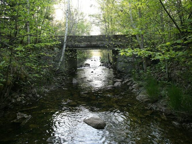 Maakond: Saaremaa Veekogu nimi: Vanakubja oja Pildistamise aeg: 24. mai 2009 Pildistaja: H. Timm Pildistamise koht: teadmata Asimuut: