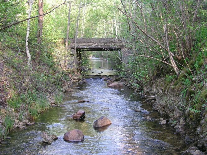 Maakond: Saaremaa Veekogu nimi: Vanakubja oja Pildistamise aeg: 27. mai 2009 Pildistaja: H. Timm Pildistamise koht: teadmata Asimuut: