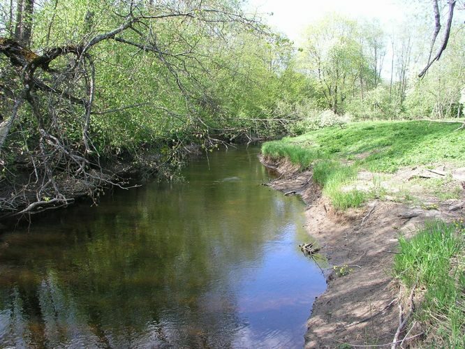 Maakond: Pärnumaa Veekogu nimi: Vändra jõgi Pildistamise aeg: 16. mai 2009 Pildistaja: H. Timm Pildistamise koht: sild alamjooksul Asimuut: