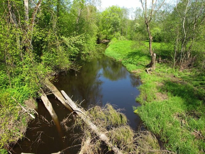 Maakond: Pärnumaa Veekogu nimi: Vändra jõgi Pildistamise aeg: 20. mai 2012 Pildistaja: H. Timm Pildistamise koht: alamjooksu sillalt Asimuut: