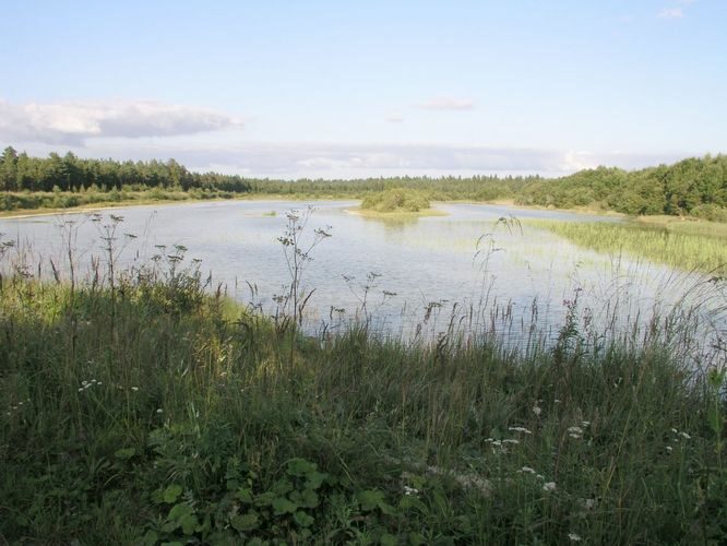 Maakond: Lääne-Virumaa Veekogu nimi: Varangu karjäär Pildistamise aeg: august 2003 Pildistaja: H. Timm Pildistamise koht: teadmata Asimuut: