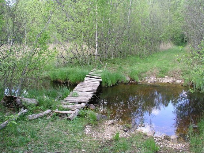 Maakond: Raplamaa Veekogu nimi: Vardi jõgi Pildistamise aeg: 22. mai 2008 Pildistaja: H. Timm Pildistamise koht: Põlli Asimuut: