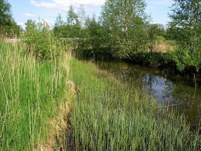 Maakond: Raplamaa Veekogu nimi: Vardi jõgi Pildistamise aeg: 22. mai 2008 Pildistaja: H. Timm Pildistamise koht: Pärnu mnt. Asimuut: