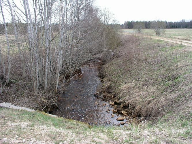 Maakond: Ida-Virumaa Veekogu nimi: Varesmetsa oja Pildistamise aeg: 23. aprill 2007 Pildistaja: H. Timm Pildistamise koht: teadmata Asimuut: