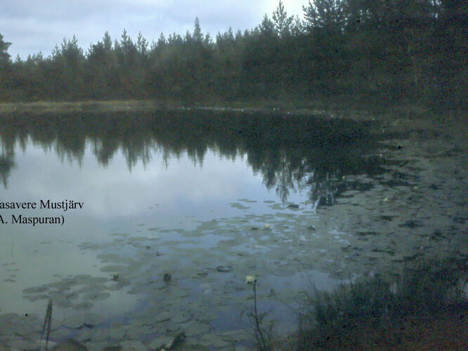 Maakond: Ida-Virumaa Veekogu nimi: Vasavere Mustjärv Pildistamise aeg: teadmata Pildistaja: A. Maspuran Pildistamise koht: teadmata Asimuut: