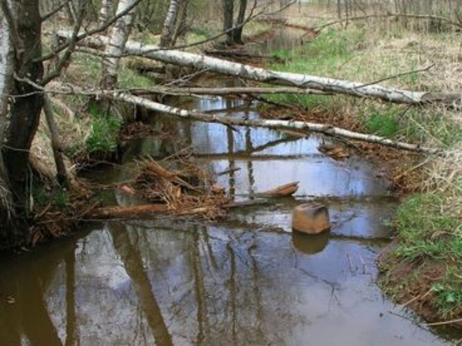 Maakond: Ida-Virumaa Veekogu nimi: Vasavere jõgi Pildistamise aeg: 6. mai 2009 Pildistaja: H. Timm Pildistamise koht: Oru Asimuut: